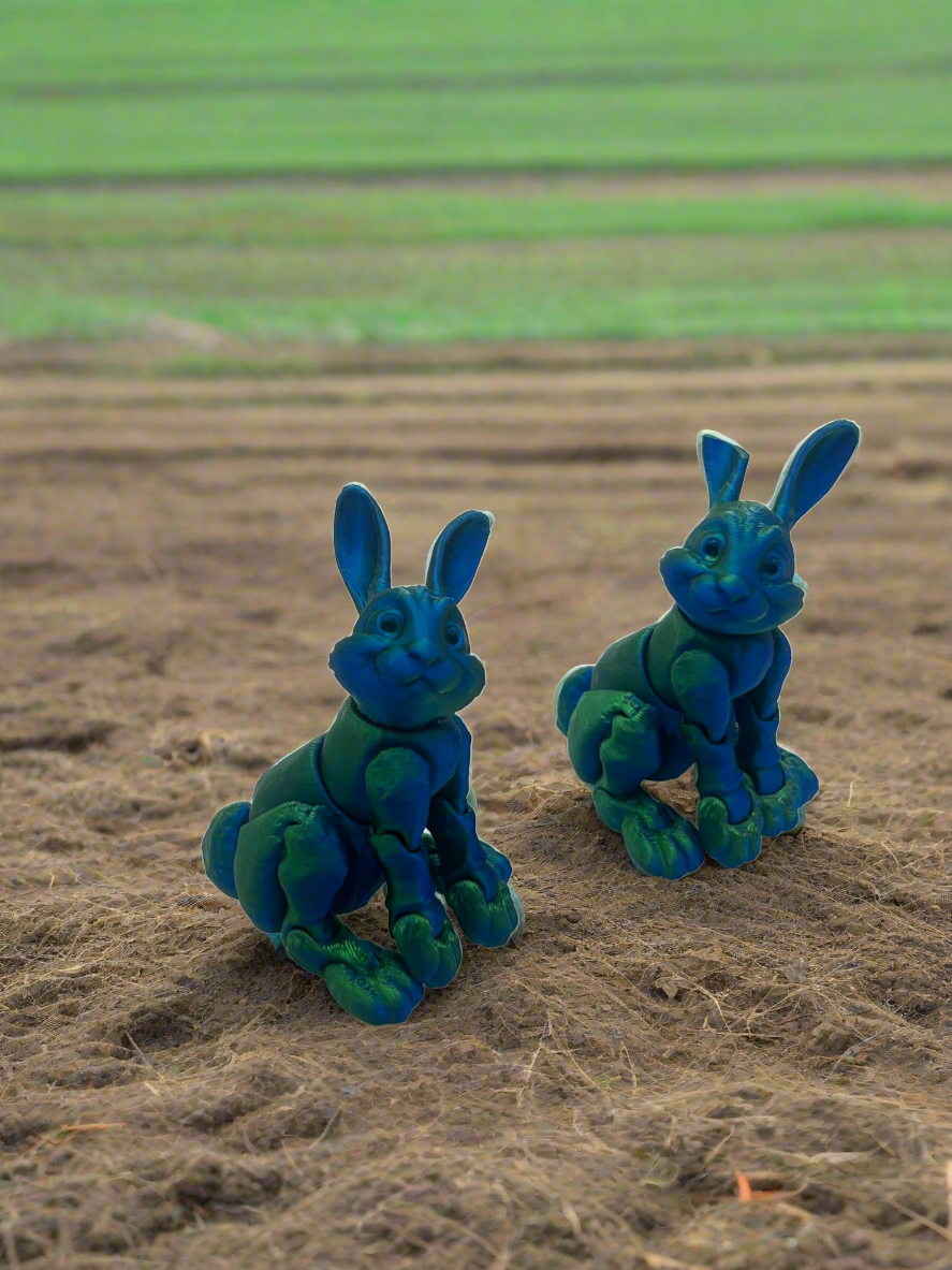 3D Cottontail