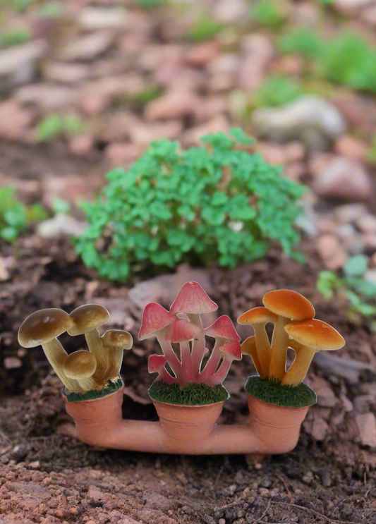 WaxCaps