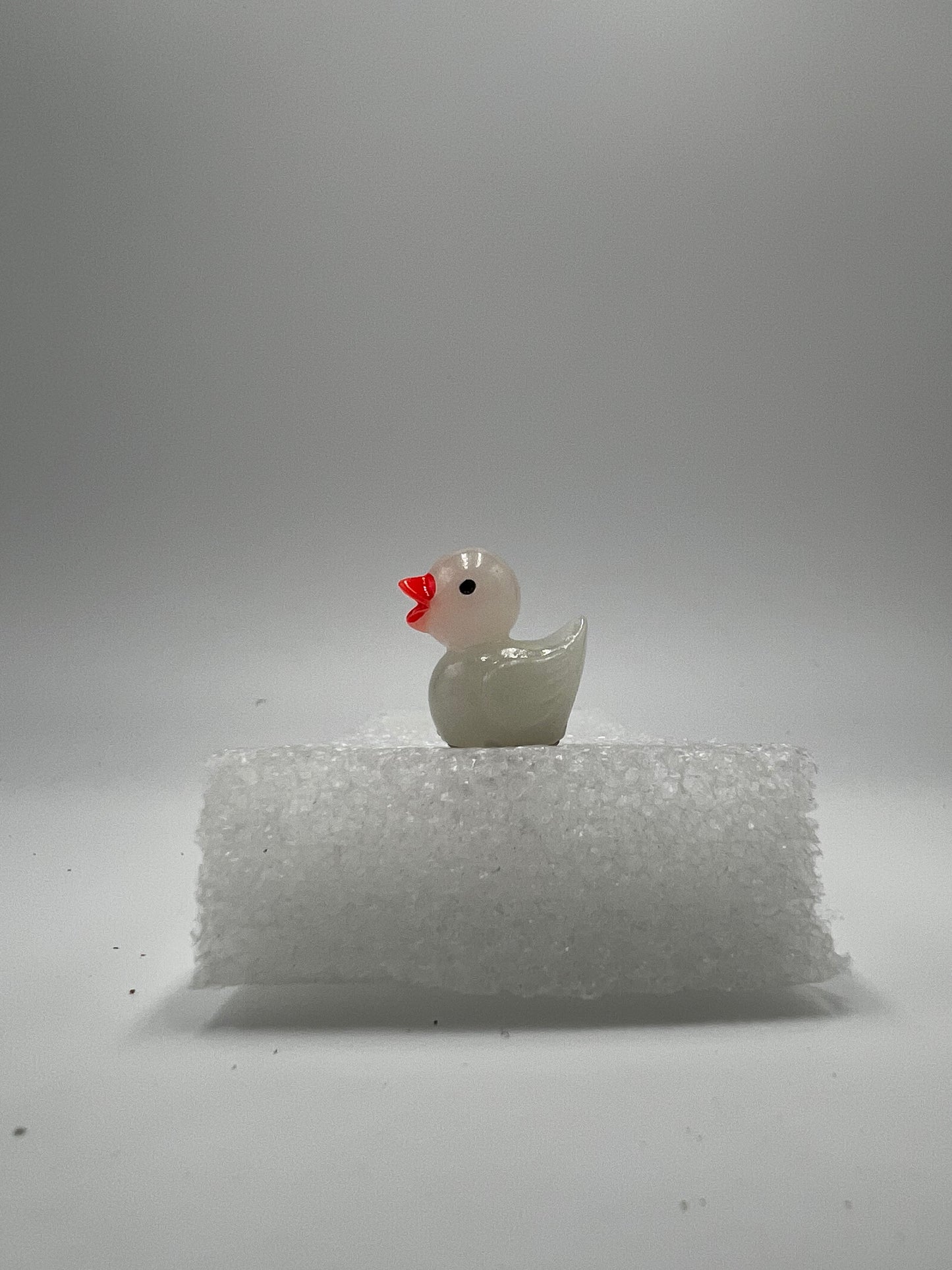 Duckies