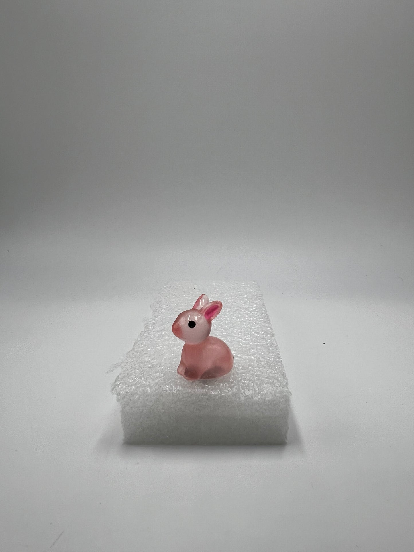 Mini Bun