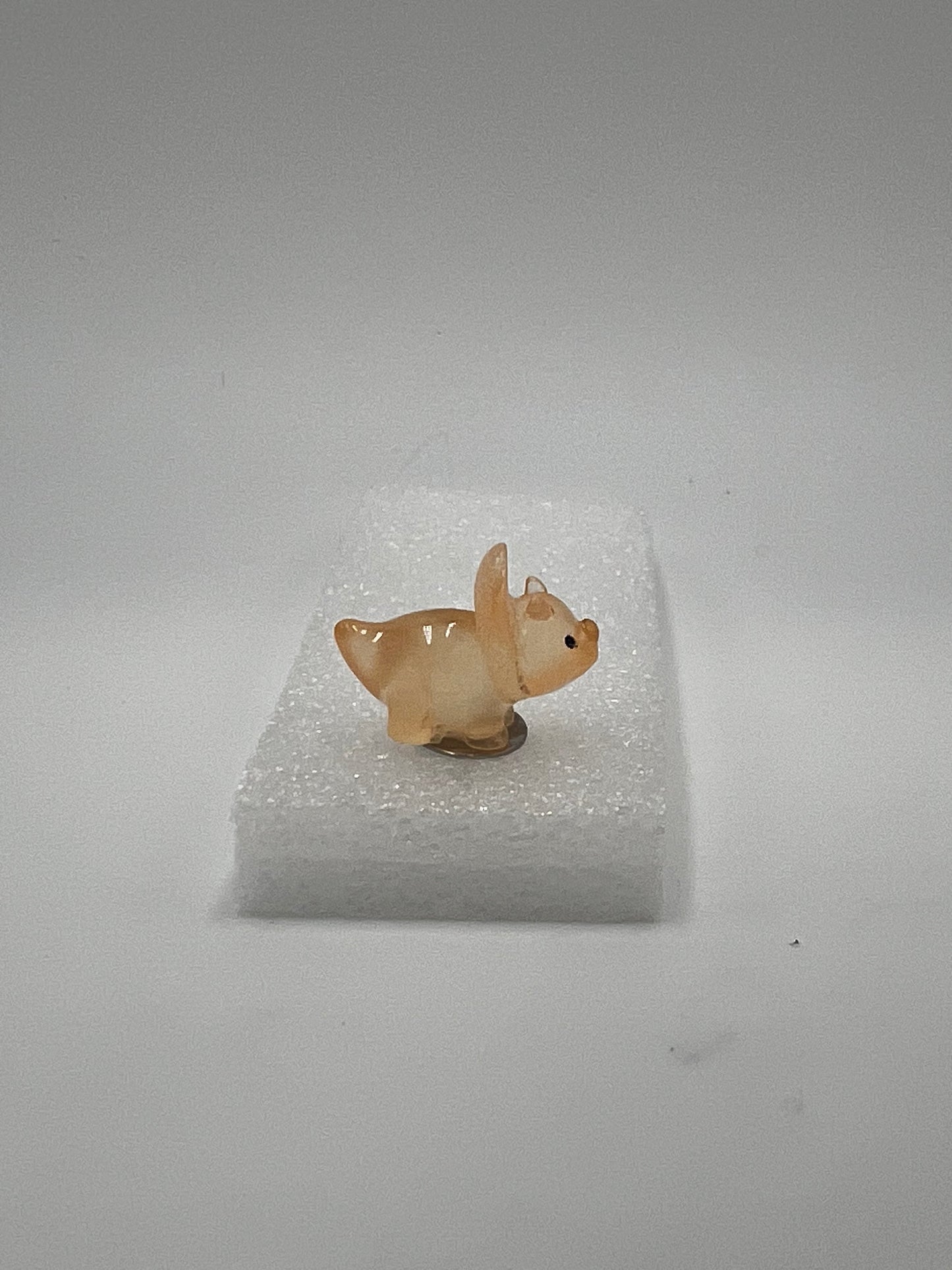 GLOceratops
