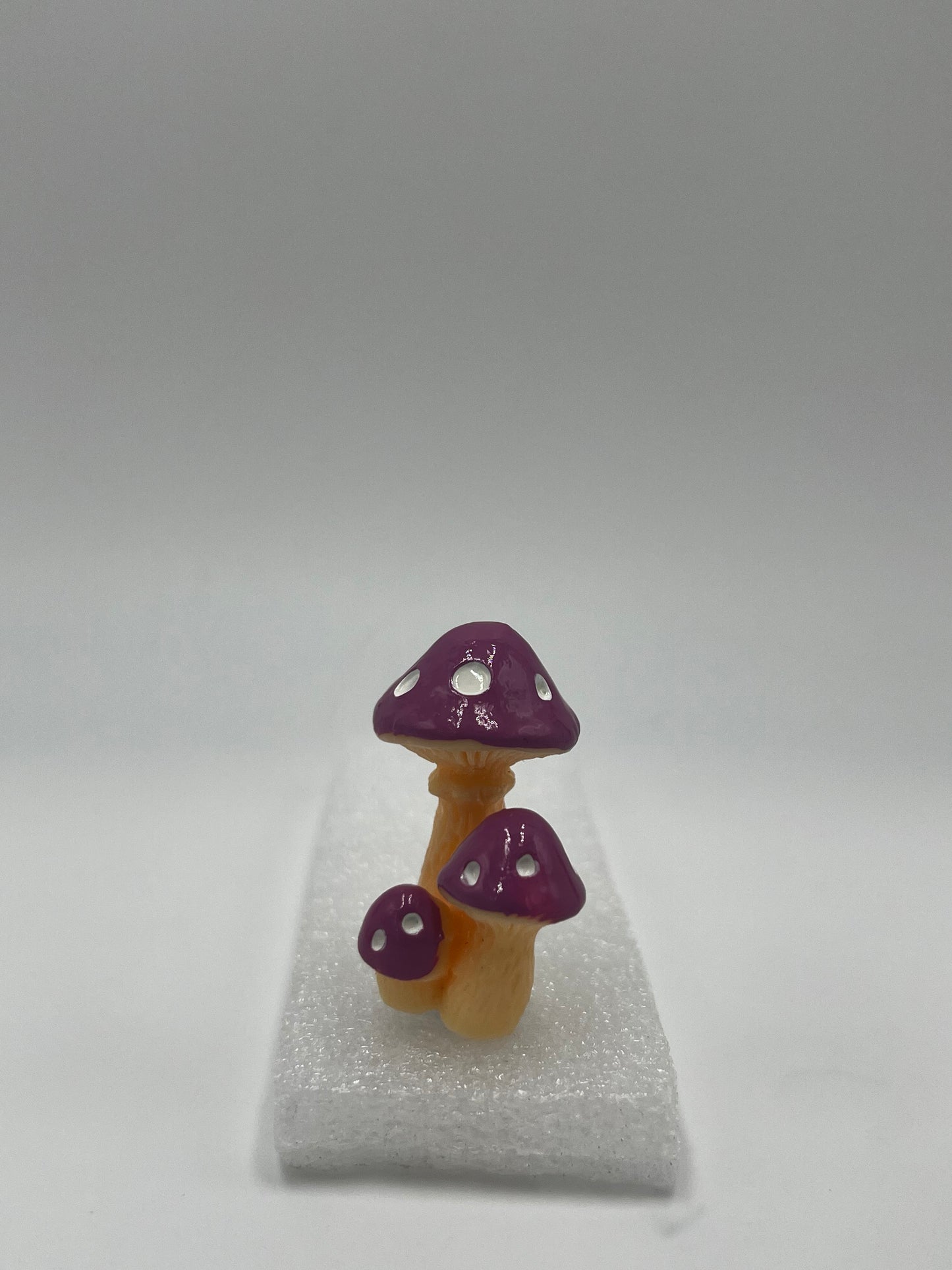 Colorful Mushrooms