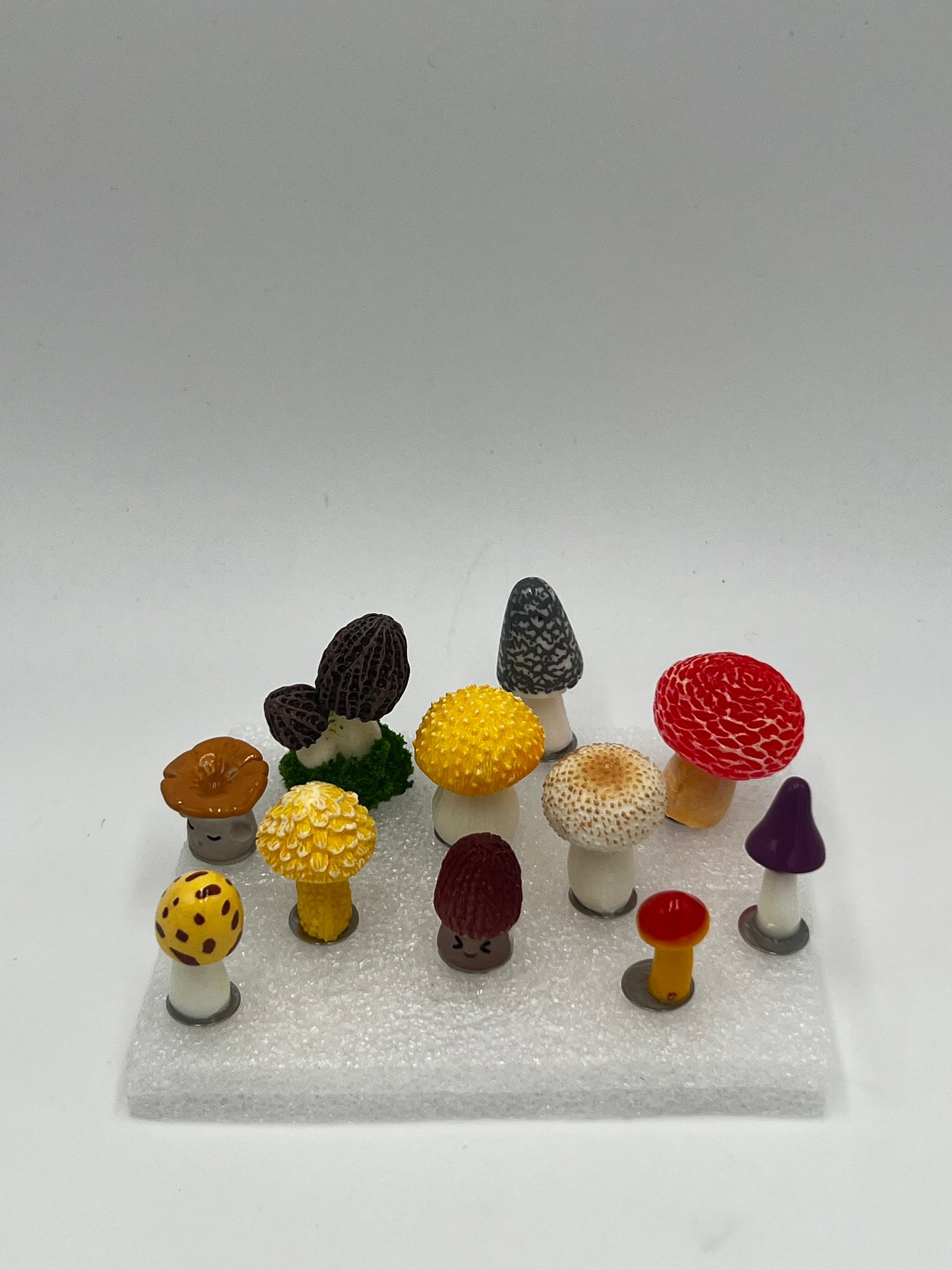 Wild Shrooms