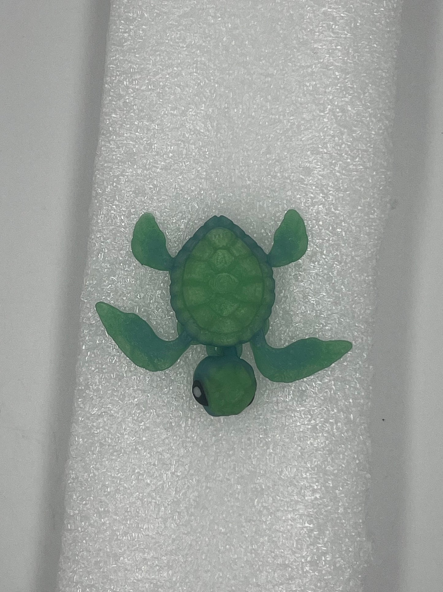 3D Tortoises