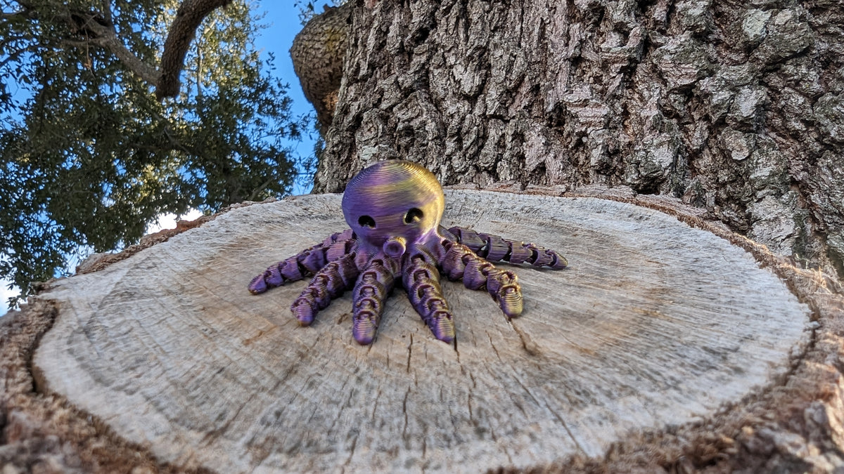 3D Octopus Brim Buddiez
