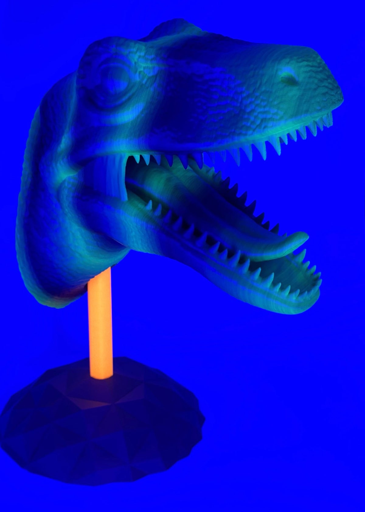 Rainbow RaptorX totem under blacklight